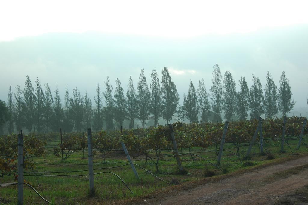 Village Farm And Winery Wang Nam Khiao Luaran gambar