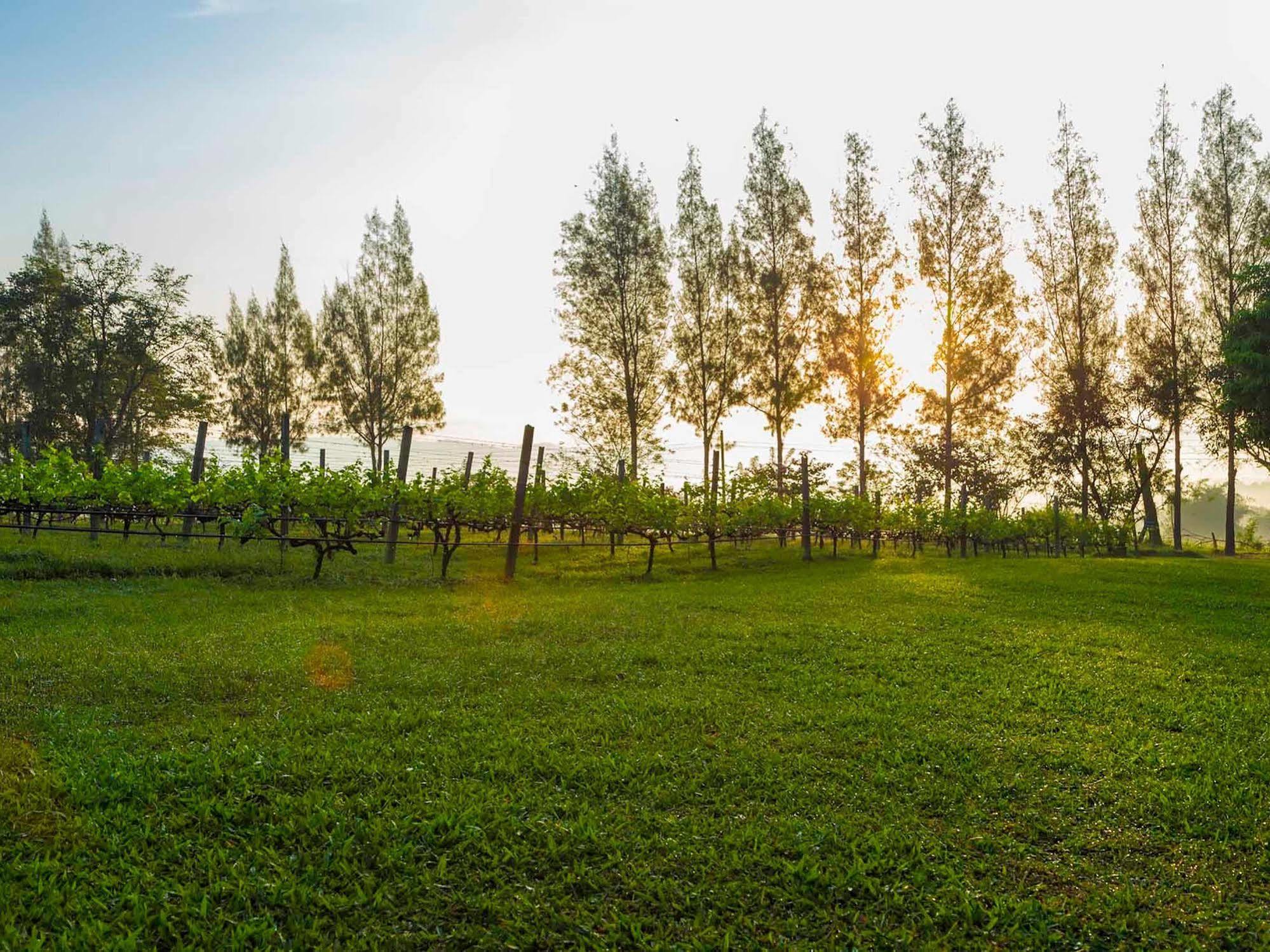 Village Farm And Winery Wang Nam Khiao Luaran gambar